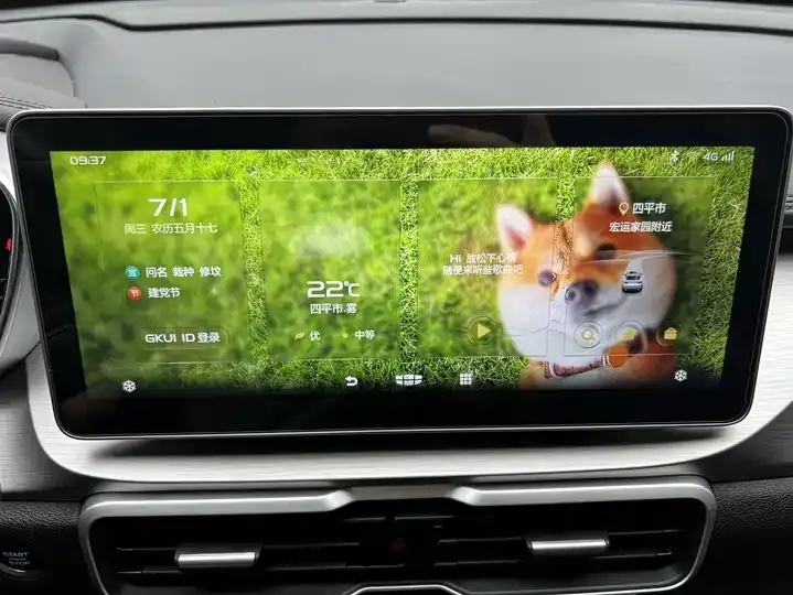Bin Yue 2021 1.4T DCT Platinum Edition 12