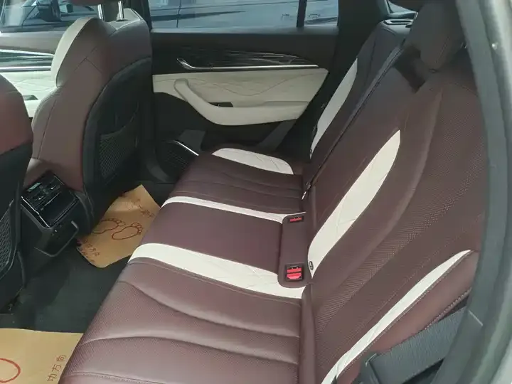 XingyueL (Monjaro) 2021 2.0TD DCT EVO Two-Drive Comfort Model 5