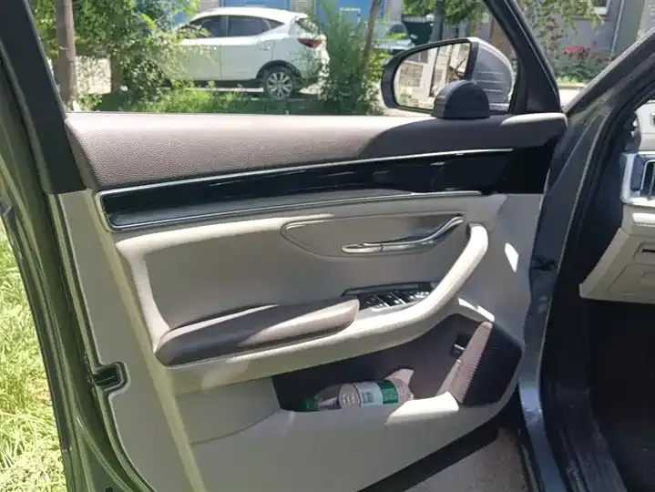 Song PLUS New Energy 2025 EV Smart Driving Edition 520km Luxury Model 7