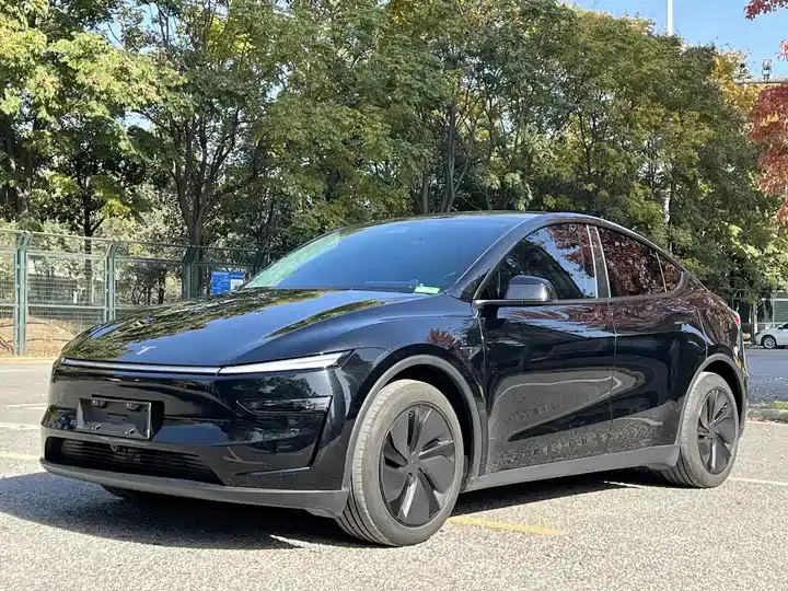 2025 Model Y Rear-Wheel-Drive Version - View 1