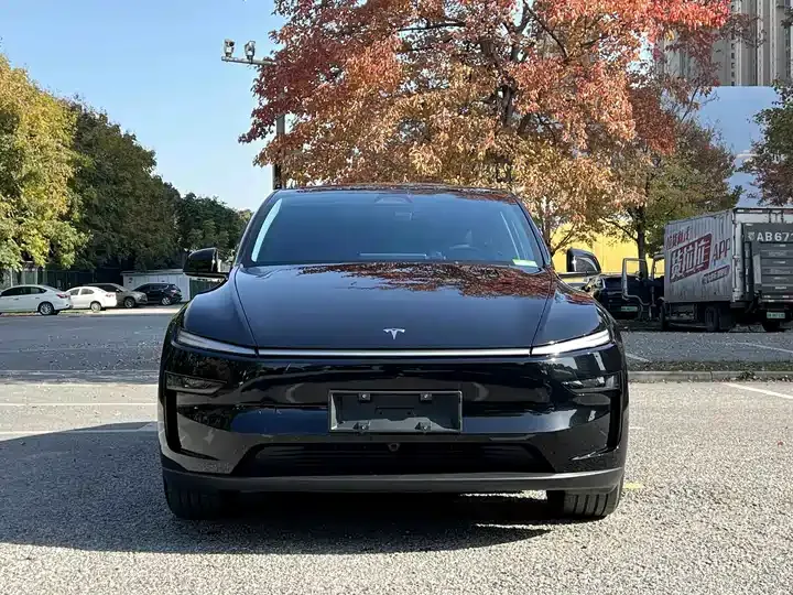 2025 Model Y Rear-Wheel-Drive Version 2