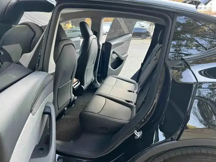 2025 Model Y Rear-Wheel-Drive Version 6