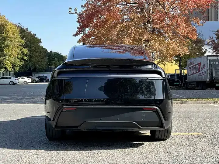 2025 Model Y Rear-Wheel-Drive Version 8