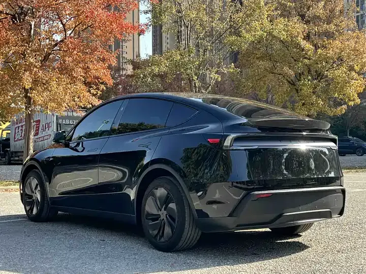 2025 Model Y Rear-Wheel-Drive Version 9