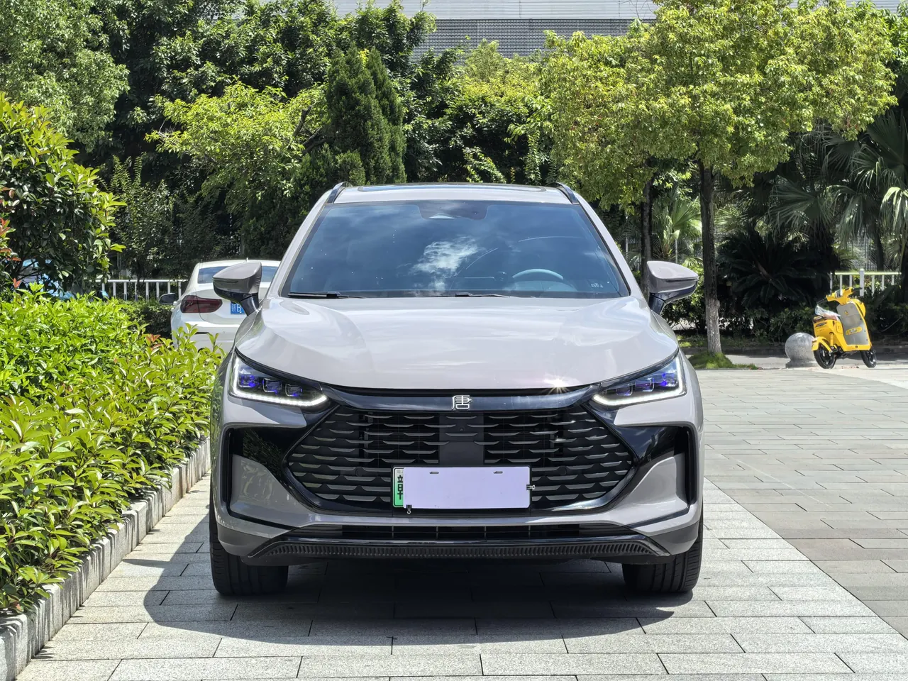 BYD Tang New Energy 2025 Tang DM-i 1.5T Stepless 115KM Honorable Automatic Gear 2