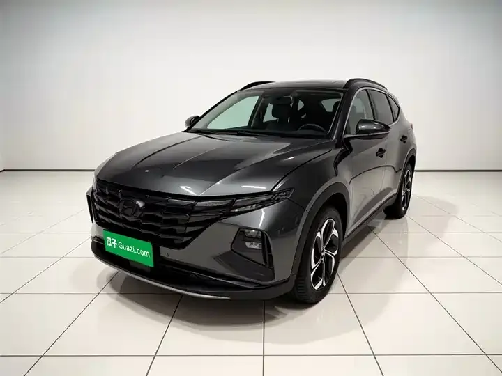 Tousheng 2021 Tousheng L 1.5T DCT LUX Premium Edition - View 1