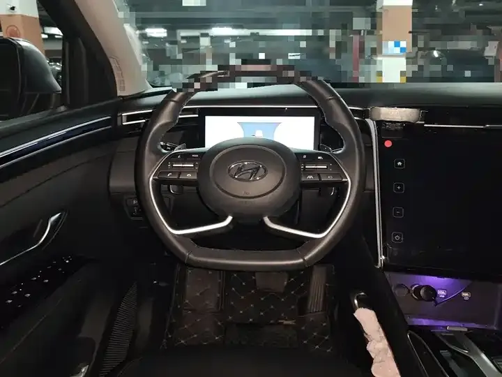 Tousheng 2021 Tousheng L 1.5T DCT LUX Premium Edition 11