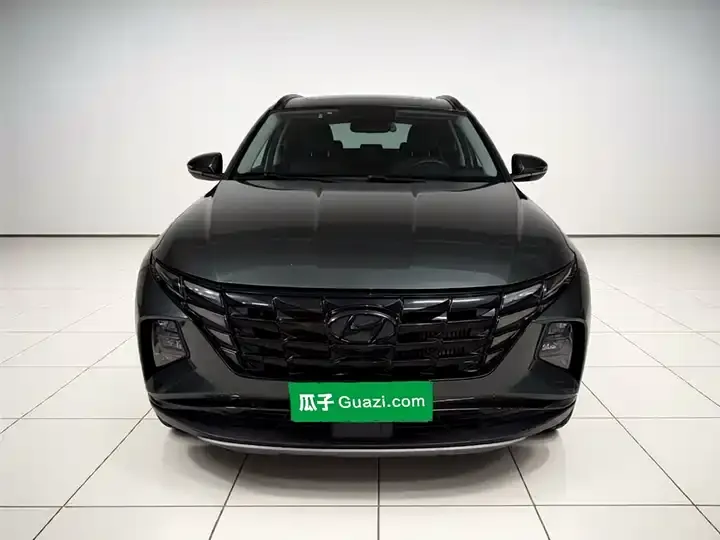 Tousheng 2021 Tousheng L 1.5T DCT LUX Premium Edition 2
