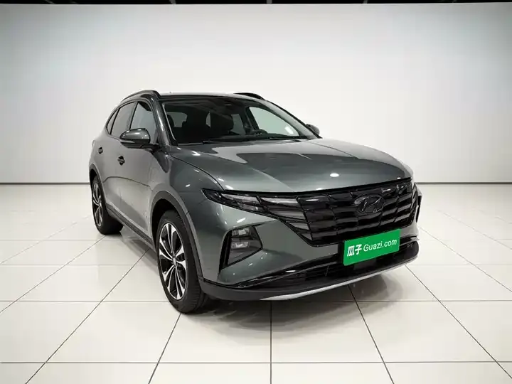 Tousheng 2021 Tousheng L 1.5T DCT LUX Premium Edition 3