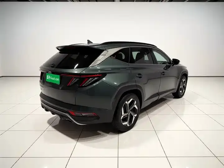 Tousheng 2021 Tousheng L 1.5T DCT LUX Premium Edition 6