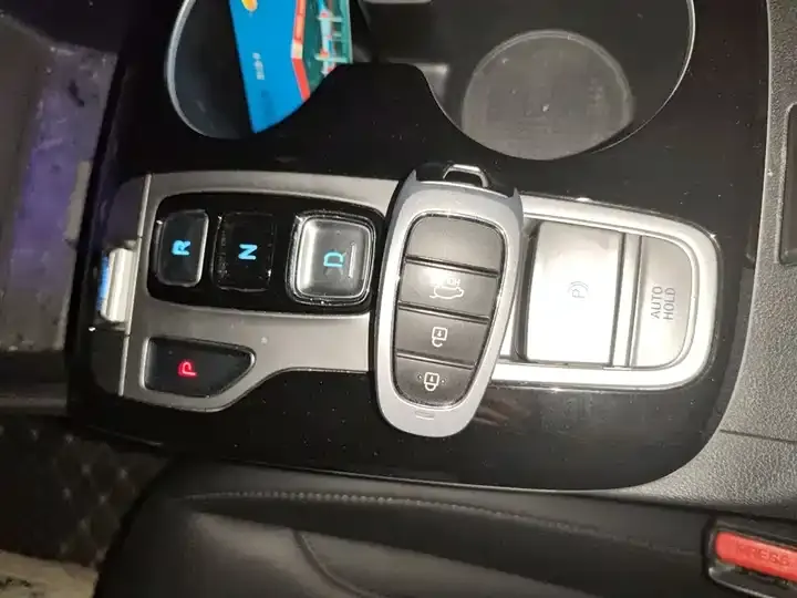 Tousheng 2021 Tousheng L 1.5T DCT LUX Premium Edition 9