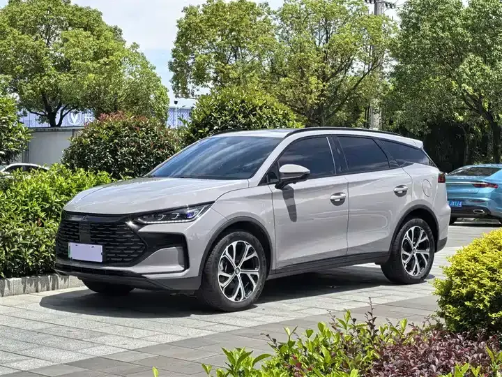 Tang New Energy 2025 DM-i 115KM Honorable Model - View 1