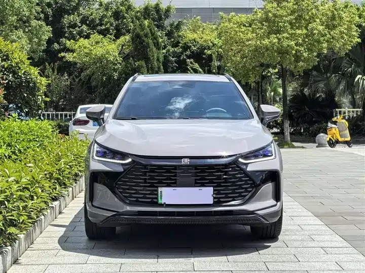 Tang New Energy 2025 DM-i 115KM Honorable Model 2