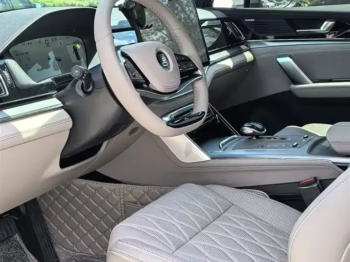 Tang New Energy 2025 DM-i 115KM Honorable Model 3