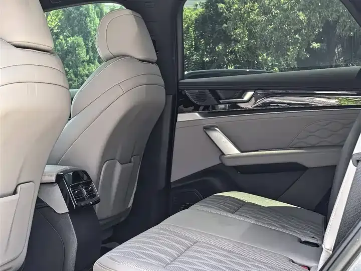 Tang New Energy 2025 DM-i 115KM Honorable Model 4