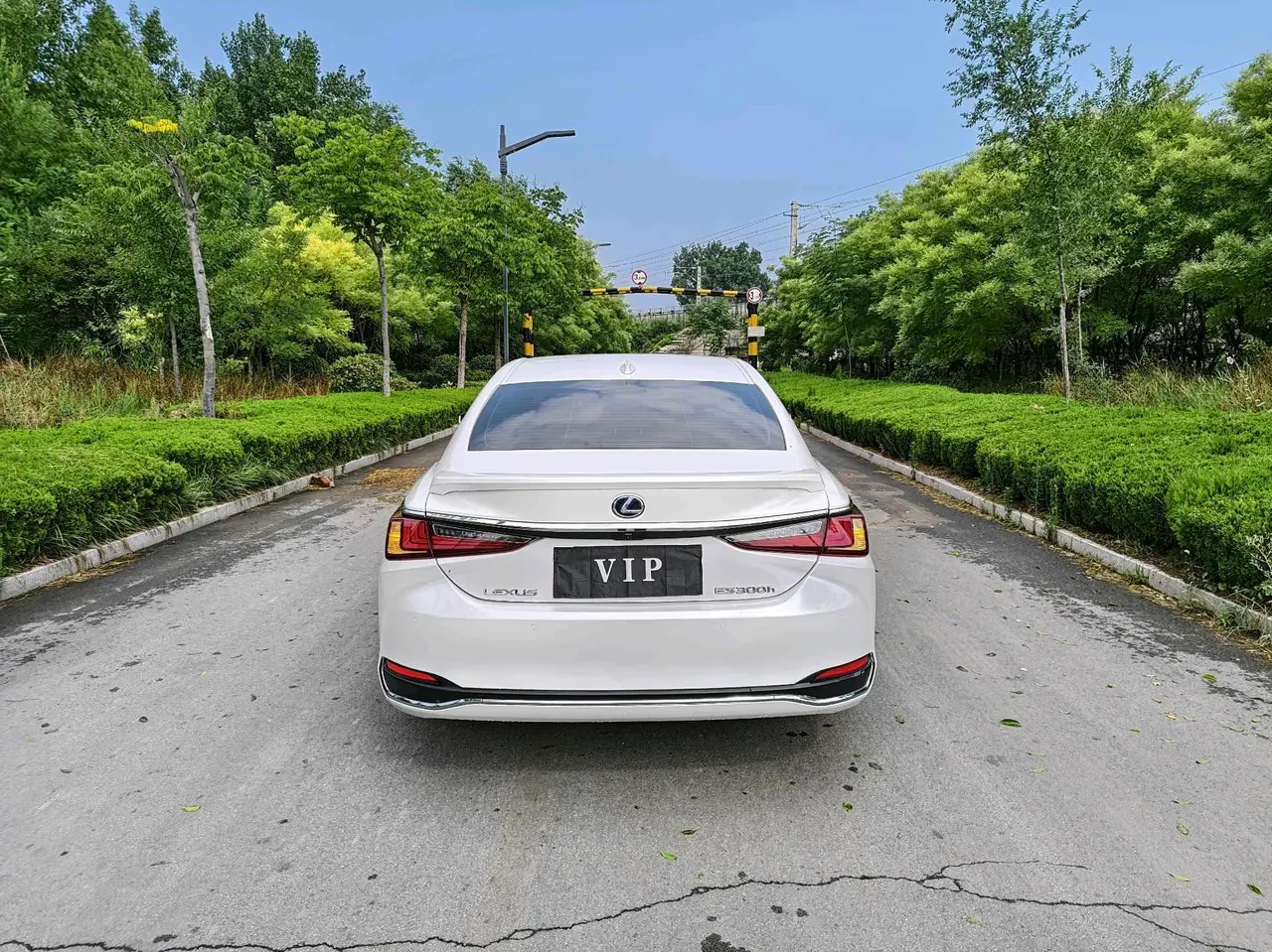 Lexus ES (Imported) 2020 ES300h 2.5 Stepless Excellence Edition Automatic Gear 5