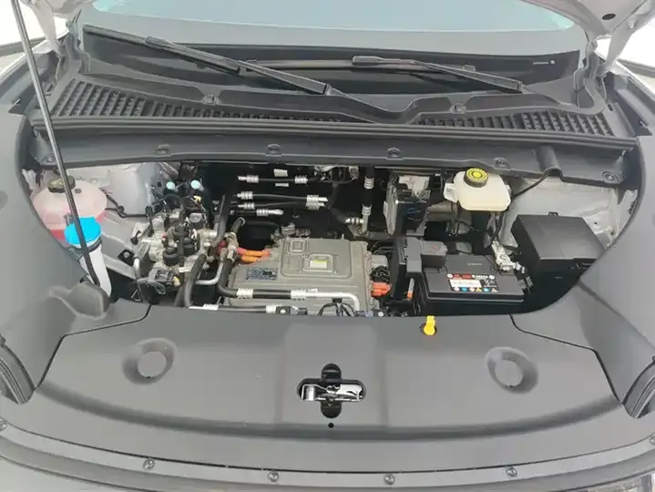 Yuan UP 2024 401KM Vital Edition 10