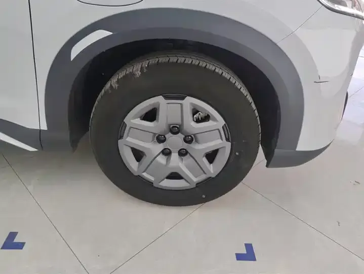 Yuan UP 2024 401KM Vital Edition 6