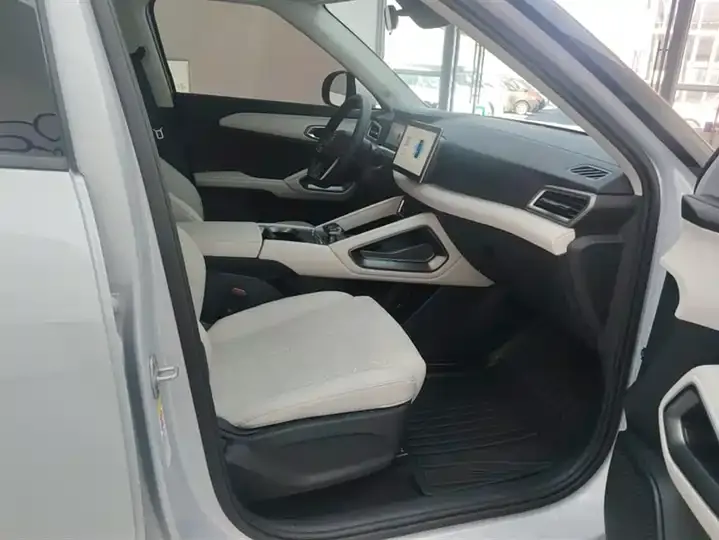 Yuan UP 2024 401KM Vital Edition 8