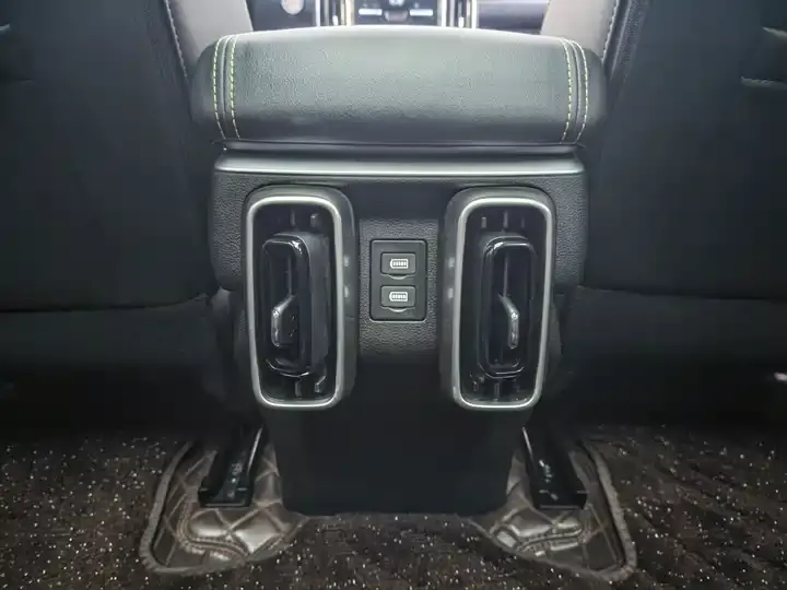 Haval Big Dog 2024 1.5T DCT Labrador Edition 10