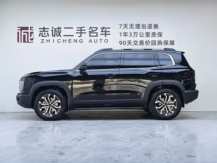 Haval Big Dog 2024 1.5T DCT Labrador Edition 2