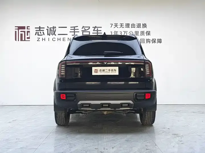 Haval Big Dog 2024 1.5T DCT Labrador Edition 4