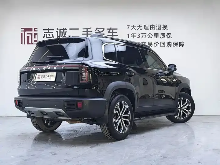 Haval Big Dog 2024 1.5T DCT Labrador Edition 5
