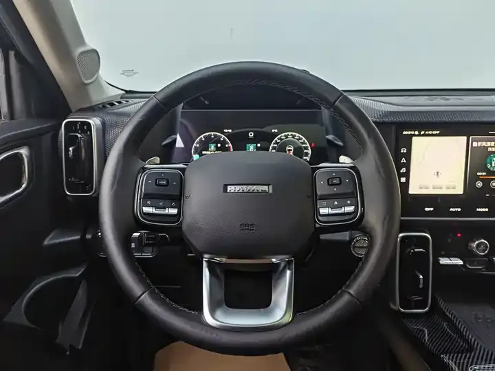 Haval Big Dog 2024 1.5T DCT Labrador Edition 8