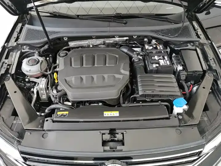 Magotan 2025 330TSI DSG Luxury 10