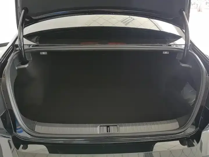 Magotan 2025 330TSI DSG Luxury 4