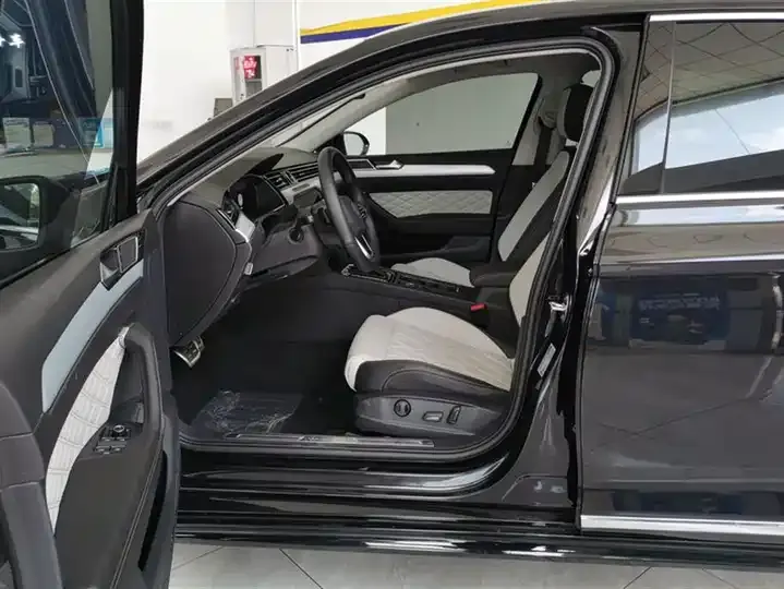Magotan 2025 330TSI DSG Luxury 9