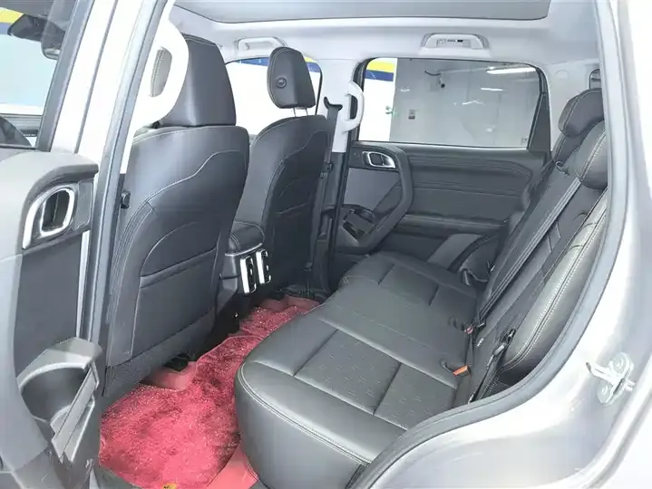 Haval Big Dog 2024 1.5T DCT Border Animal Husbandry Edition 11