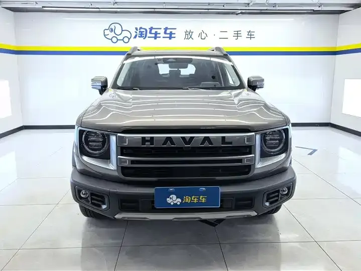 Haval Big Dog 2024 1.5T DCT Border Animal Husbandry Edition 2