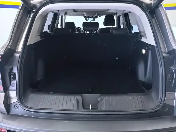 Haval Big Dog 2024 1.5T DCT Border Animal Husbandry Edition 4