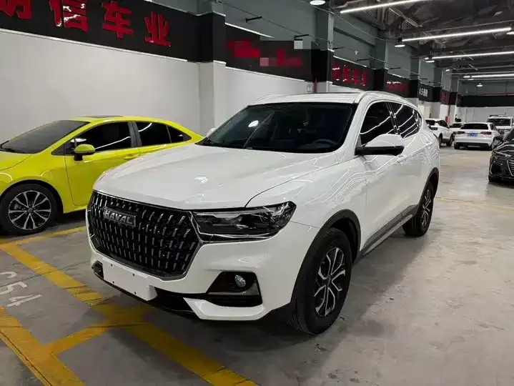 Haval H6 2023 National Tide Edition 1.5T Automatic City Edition - View 1