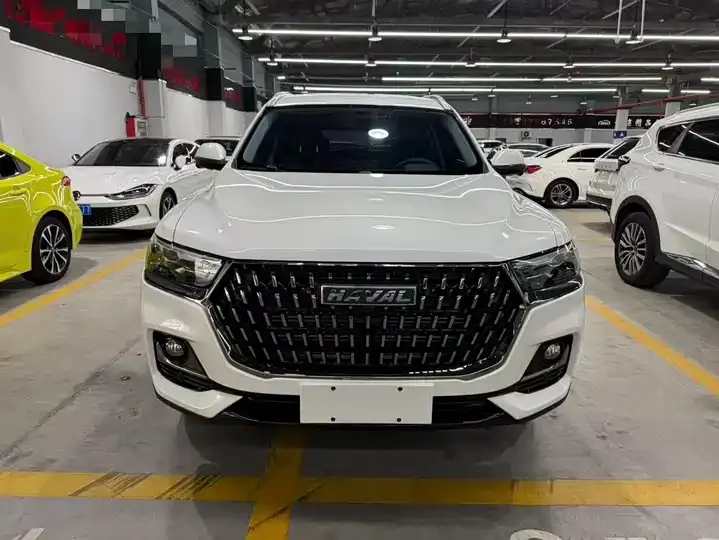 Haval H6 2023 National Tide Edition 1.5T Automatic City Edition 2