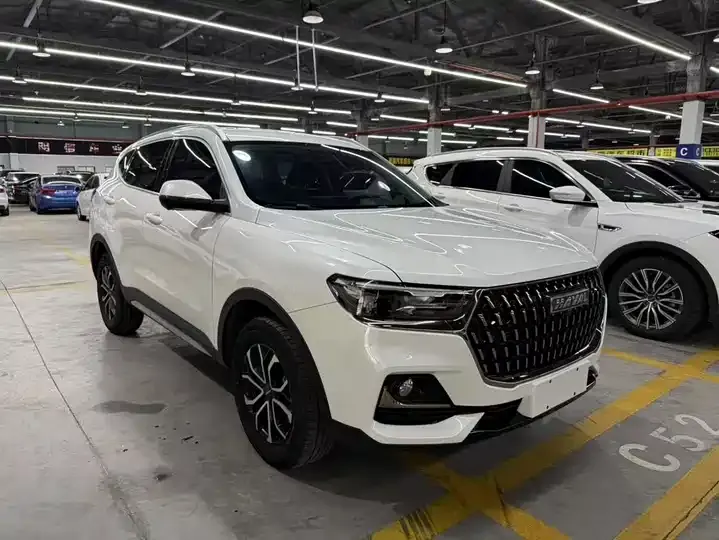 Haval H6 2023 National Tide Edition 1.5T Automatic City Edition 3