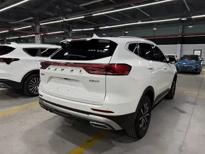 Haval H6 2023 National Tide Edition 1.5T Automatic City Edition 4