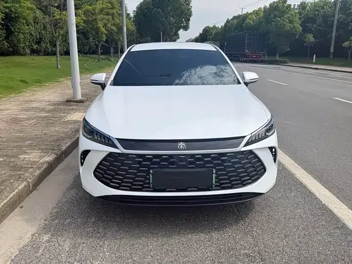 Qin PLUS 2025 DM-i Smart Driving Edition 55KM Leading Model - View 1