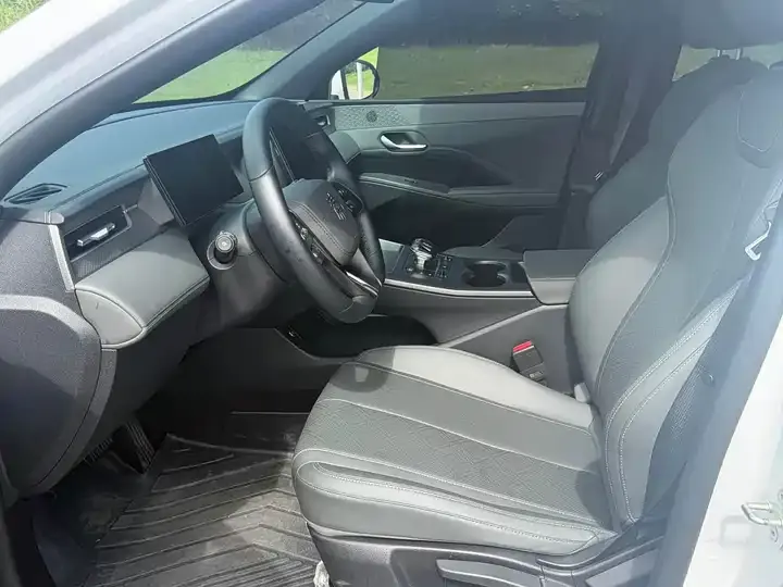 Qin PLUS 2025 DM-i Smart Driving Edition 55KM Leading Model 3