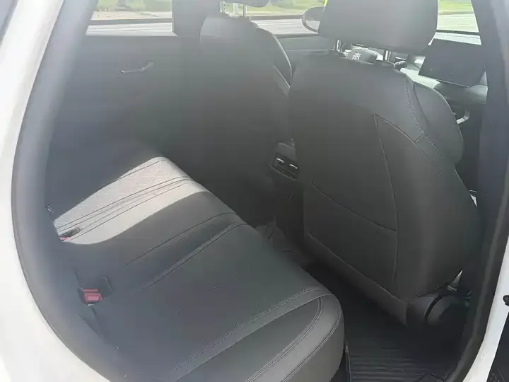 Qin PLUS 2025 DM-i Smart Driving Edition 55KM Leading Model 4