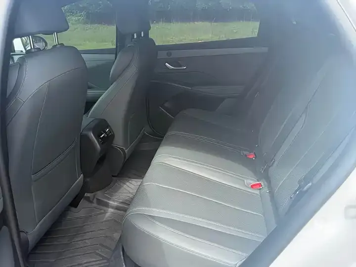 Qin PLUS 2025 DM-i Smart Driving Edition 55KM Leading Model 5