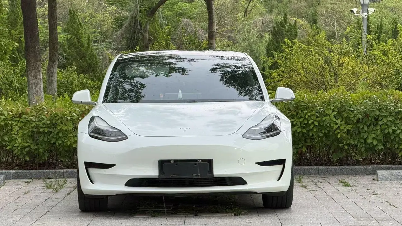 Tesla 2020 Model 3 Standard Endurance Rear Drive Upgraded Automatic Gear 2