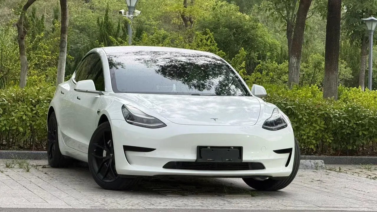 Tesla 2020 Model 3 Standard Endurance Rear Drive Upgraded Automatic Gear 3
