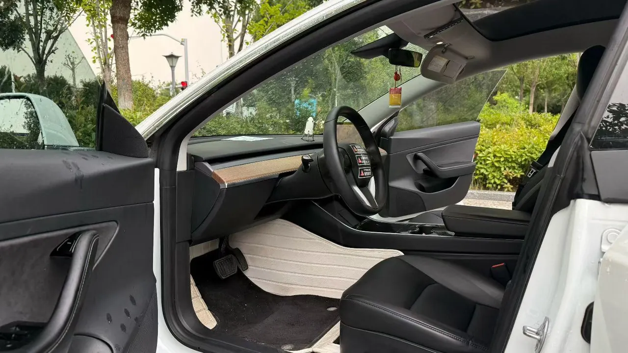 Tesla 2020 Model 3 Standard Endurance Rear Drive Upgraded Automatic Gear 4