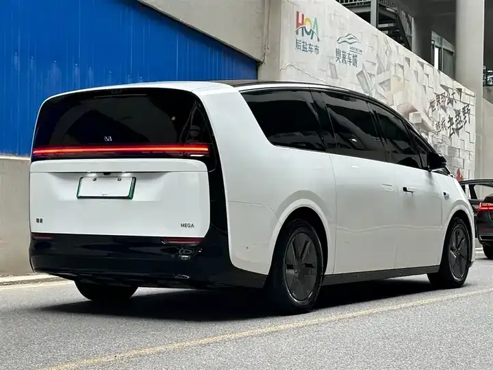 Li MEGA 2025 Home Home Special Edition 5