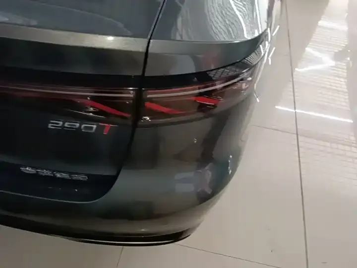 Erez 8 PRO 2025 1.6T DCT Luxury Model 8