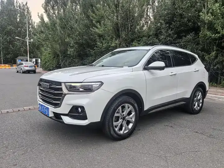 Open image lightbox: Haval H6 2021 National Tide Edition 1.5T Auto Champion Edition