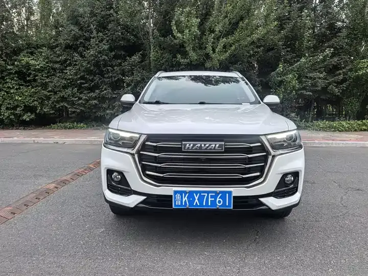 Haval H6 2021 National Tide Edition 1.5T Auto Champion Edition 2
