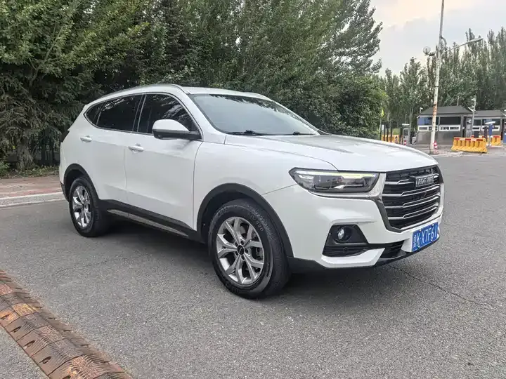 Haval H6 2021 National Tide Edition 1.5T Auto Champion Edition 3
